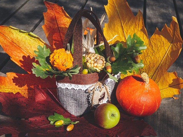 Cover your home with autumn splendor, your garden very simply