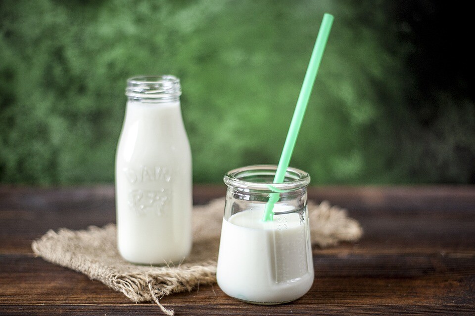 Take care of the fashion diets when it comes to milk