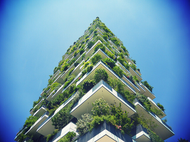 Ideal for vertical forest