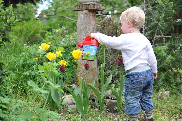 Child-friendly garden