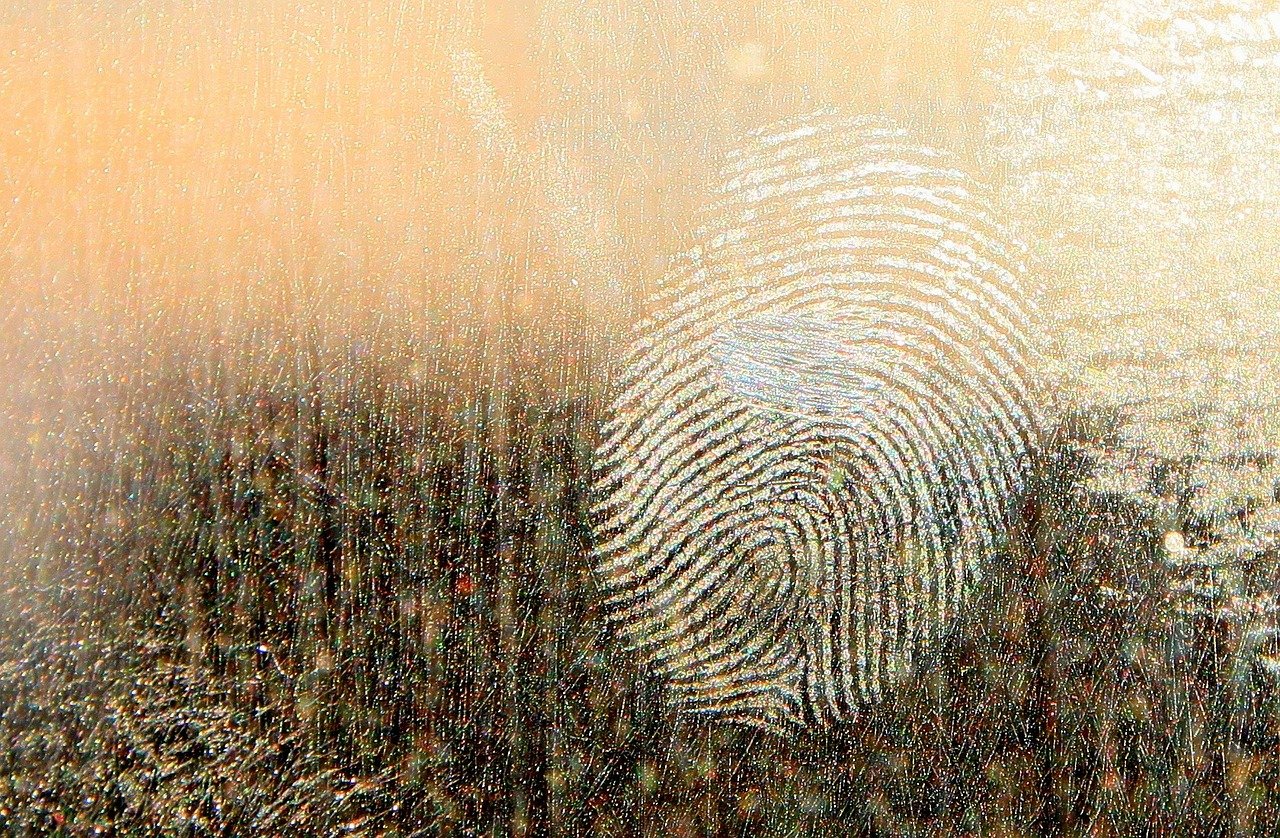 What defines the shape of a fingerprint?