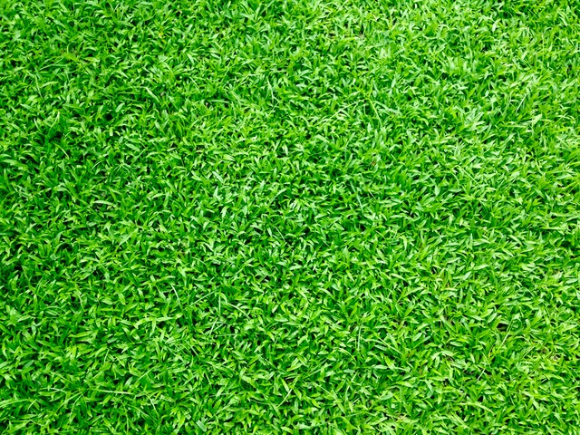 The garden beyond the course: this is why artificial grass is good