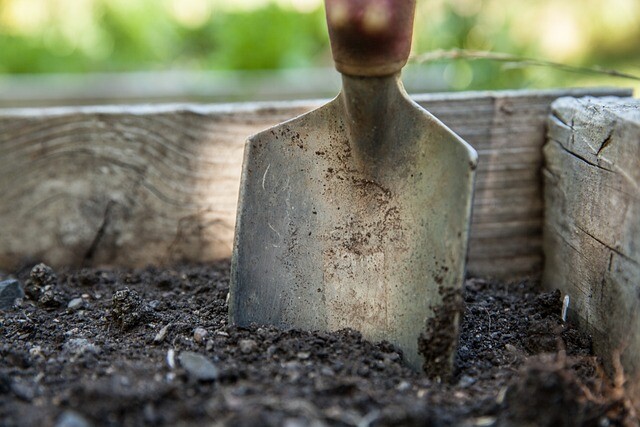 Plan smartly or re-plan your garden!